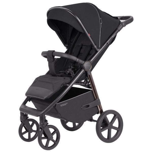 Прогулянкова коляска CARRELLO Bravo CRL-5515 100471 фото