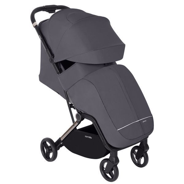Прогулянкова коляска CARRELLO Porto CRL-5522 105994 фото